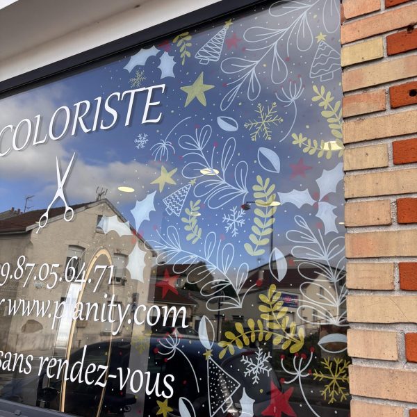 Décoration de Noël vitrine Reims